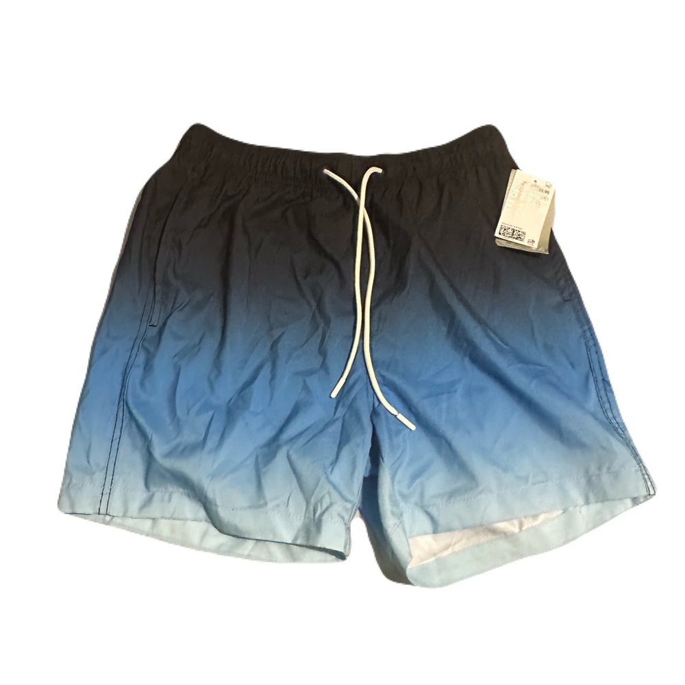 Blue Ombre Swim Shorts